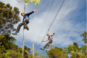 School Holidays on Waiheke Island